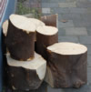 einde van de tuin van Fortuin